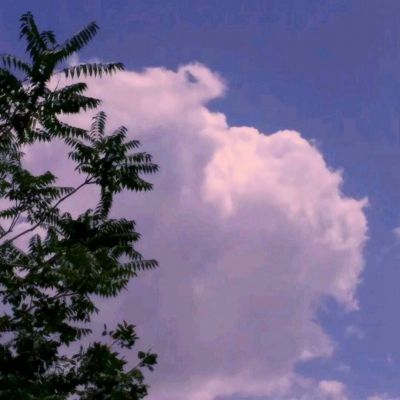 im电竞官网手机app下载